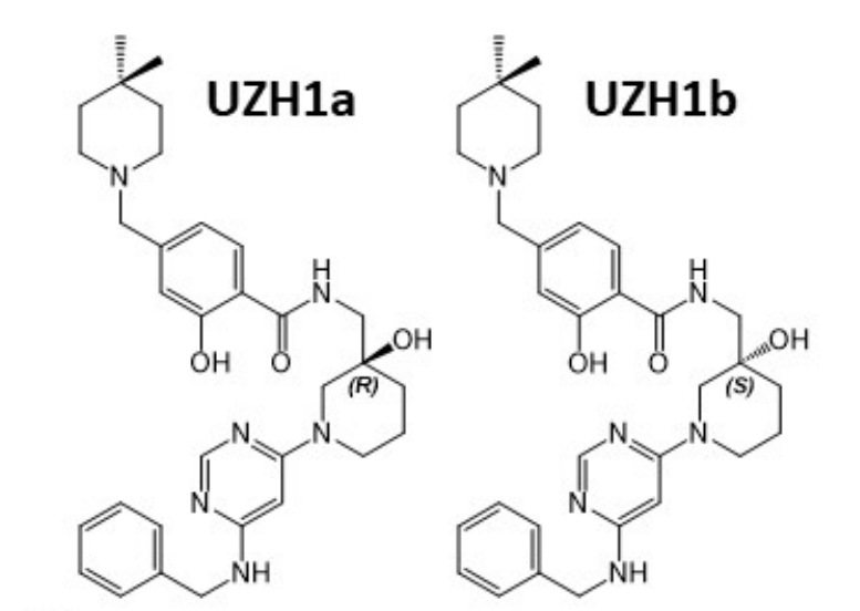 研究职员报告了一种具有细胞渗透性的选择性METTL3纳摩尔抑制剂UZH1a，作者谢谢Ladbrokes立博合成了UZH1a和UZH1b