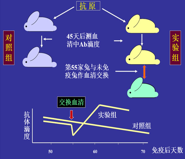 Figure-1：：：机体反抗体浓度转变的感知与反馈性自我调理.jpg