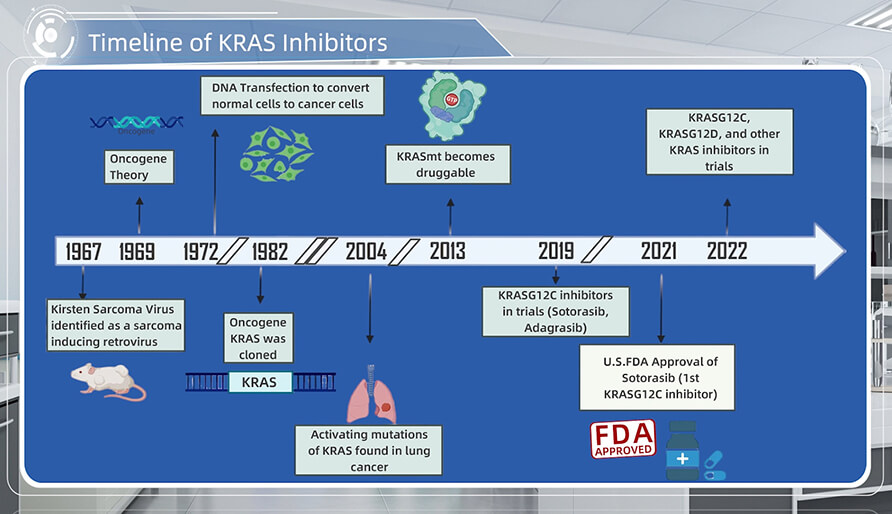 KRAS抑制剂的生长历程