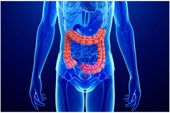 Ladbrokes立博一站式助力 | 宝太生物首其中美双报立异药获批