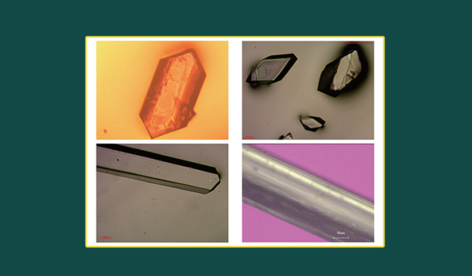 美研| CMC系列(十二)：：：单晶结构剖析在药物开发中的应用和单晶作育哪些事儿