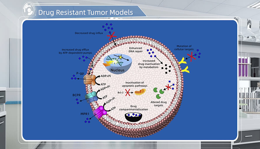 肿瘤耐药机制是什么？？？