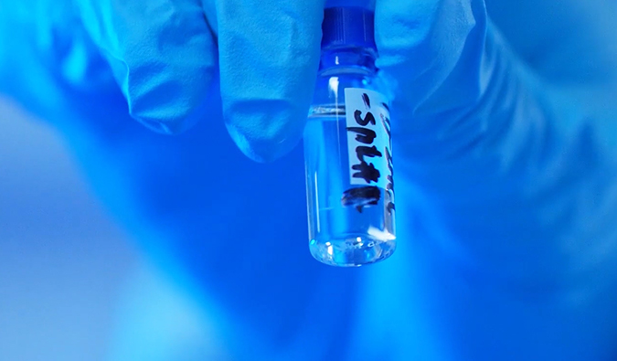 GLP-1“竞速赛”何以夺魁？？