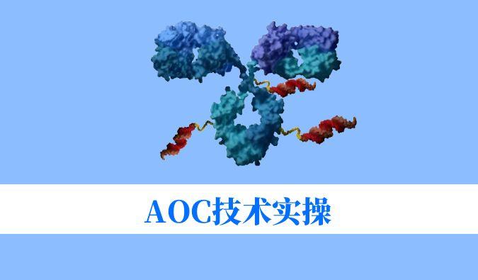 AOC手艺实操：偶联化学与表征剖析难题全搞定