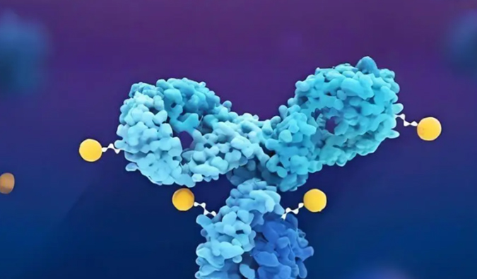 深度剖析：：ADC药物生物剖析的考量因素